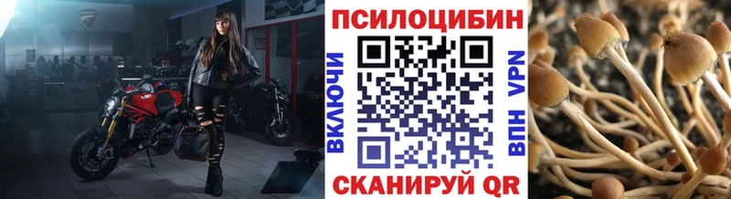 Псилоцибиновые грибы MAGIC MUSHROOMS  где продают   Коркино 
